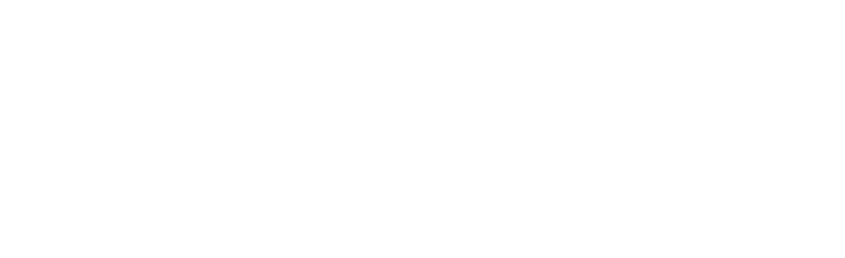ONGO MAX Energy Spray
